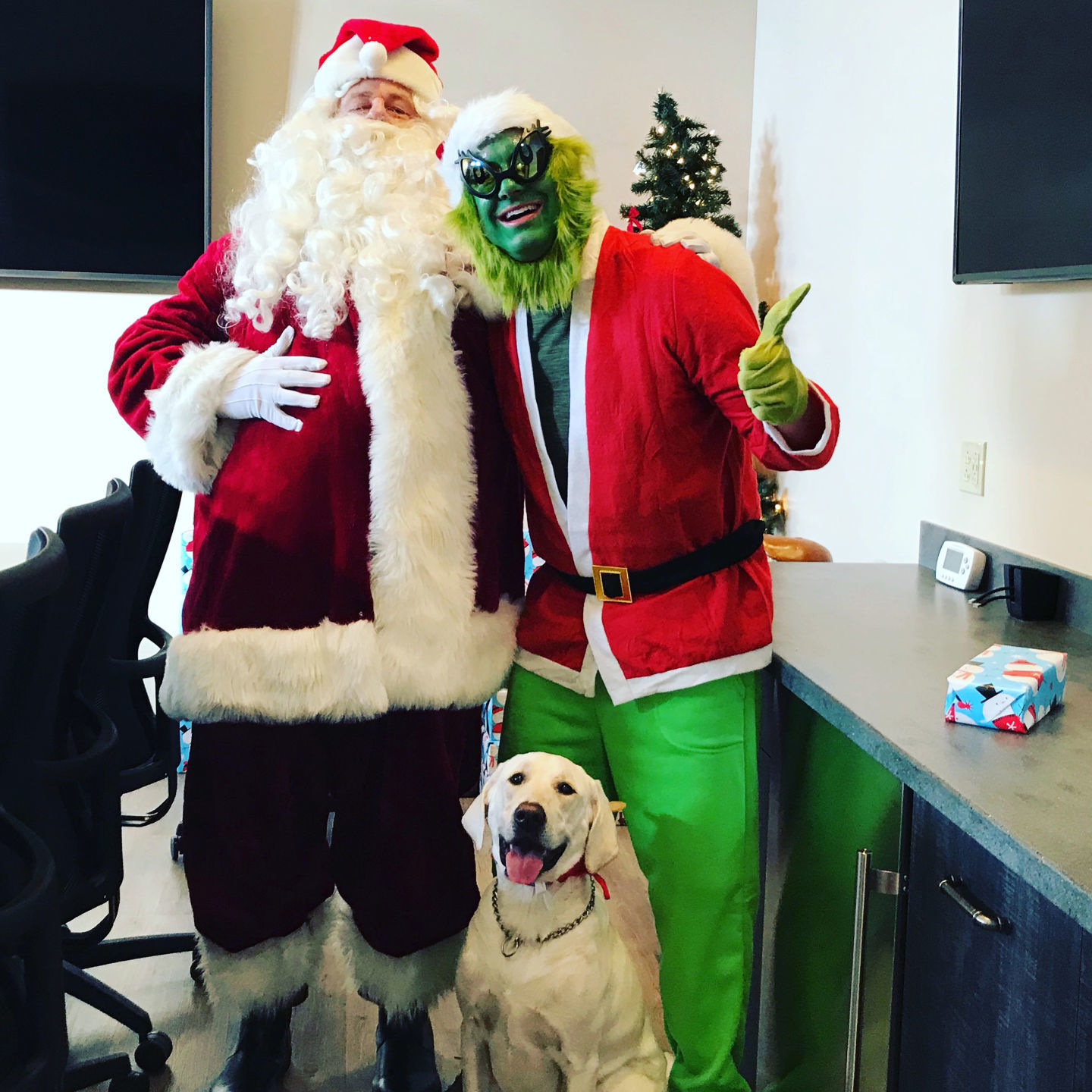 The Grinch, Santa and Max